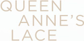 Queen Anne&rsquo;s Lace